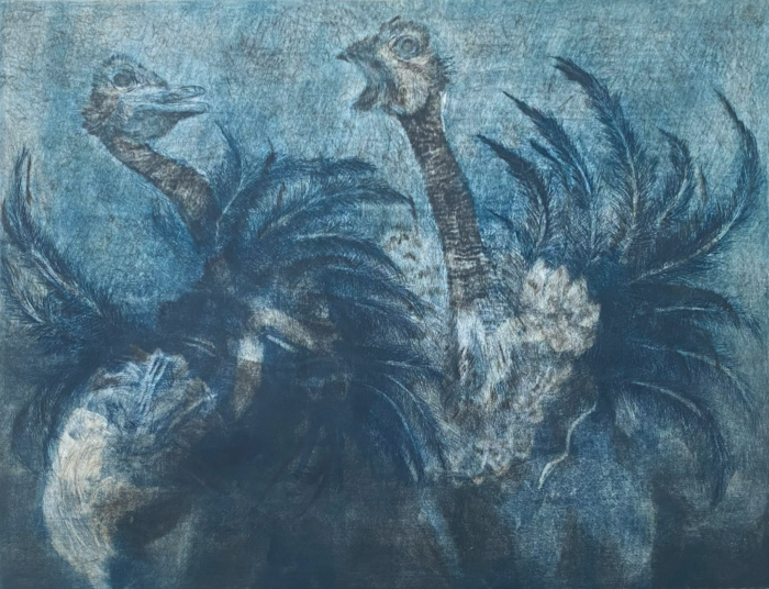 Flora Goldberg – Avestruces – Grabado de dos planchas sobre papel