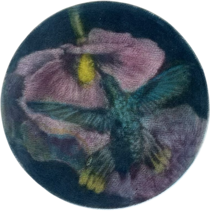 Flora Goldberg – Colibrí – Grabado sobre papel