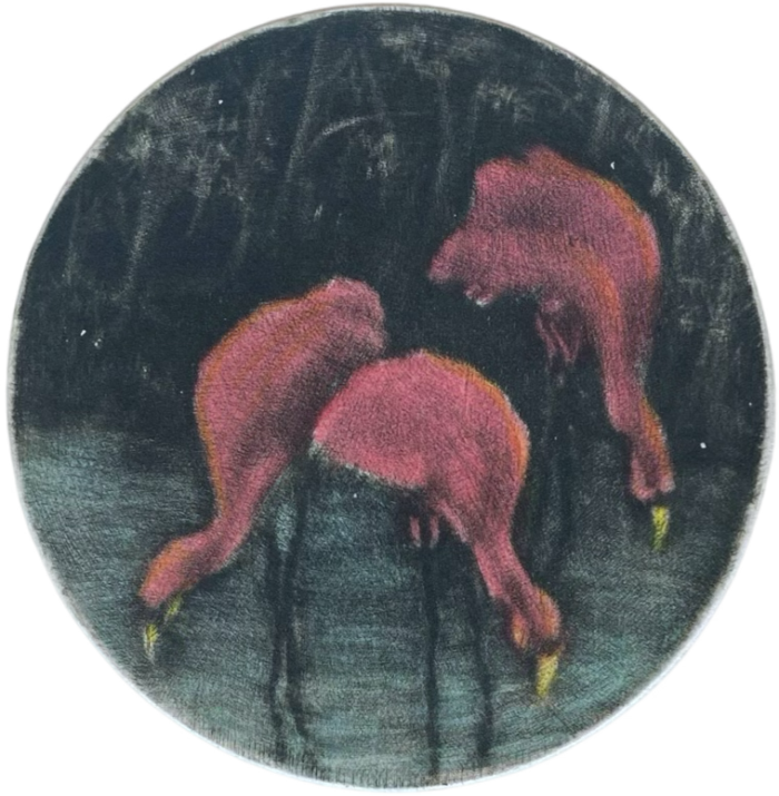 Flora Goldberg – Flamingos – Grabado sobre papel